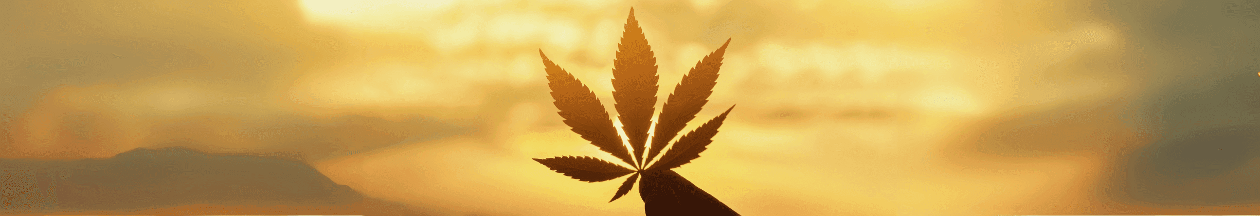 Cannabis Blatt Schatten vor Sonnenuntergang
